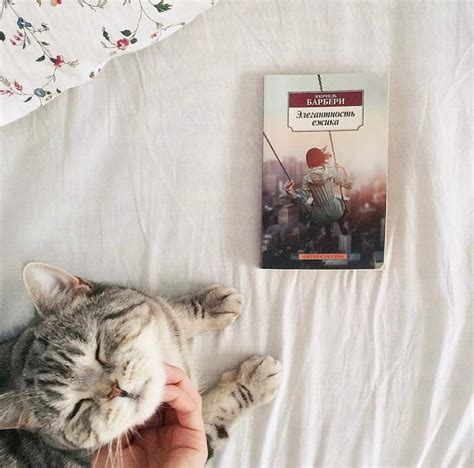 Cheyenne De Muriel 60 Photos Porn