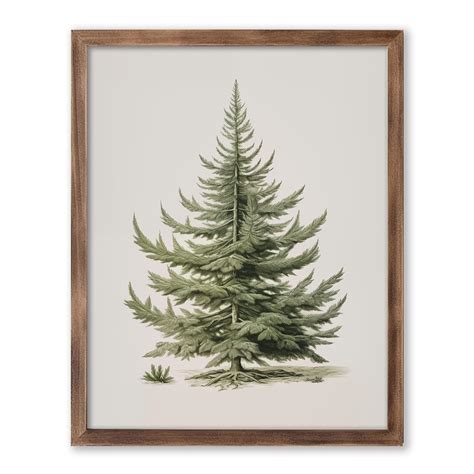 Christmas Tree Art Print Vintage Fir Botanical Sketch