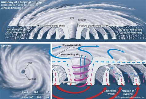 Tropical Cyclone Damage Wind Rain Britannica