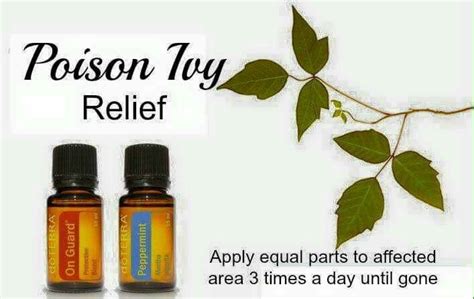 Poison ivy relief | Poison ivy relief, Shampoo bottle, Peppermint