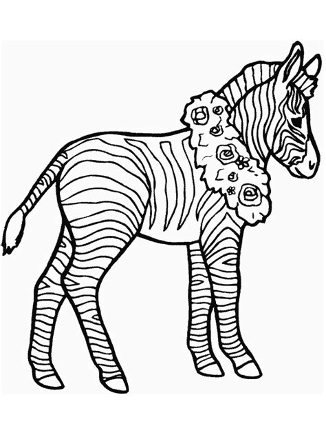 Free Printable Zebra Coloring Pages For Kids