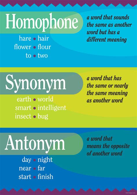 Synonyms And Antonyms And Homonyms