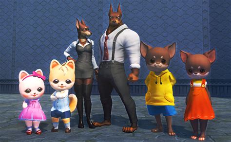 Cat And Dog Candies General Discussion Forums
