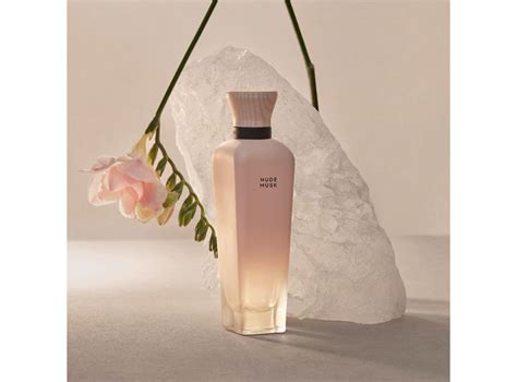 Ripley SET PERFUME ADOLFO DOMINGUEZ NUDE MUSK MUJER EDP 120 ML MEGASPRITZER TERRACOTA MUSK 10 ML