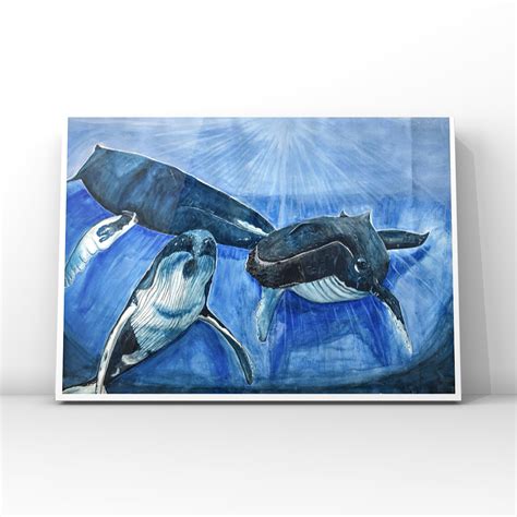 Humpback Whale Art Print - Etsy