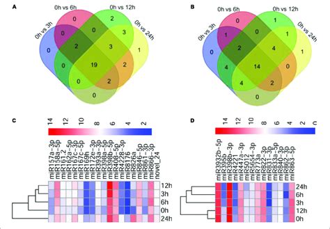 Analysis Of Differentially Expressed Mirnas A B Venn Diagrams