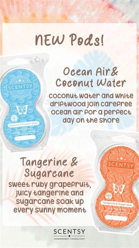 Sunshine State Of Mind Collection Scentsy Scentsy Consultant