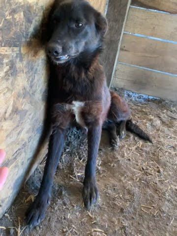 Paula #2 Hope for Future - YouTube