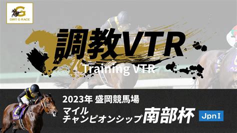 調教vtr｜2023年 マイルチャンピオンシップ南部杯 Jpni｜nar公式 Youtube