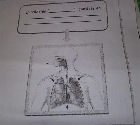 Ayuda Plis Que Es Para Hoy Habla Sobre El Sistema Respiratorio