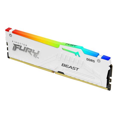 KingSton Fury Beast RGB Single 16GB DDR5 5600MT S CL36 Desktop Memory