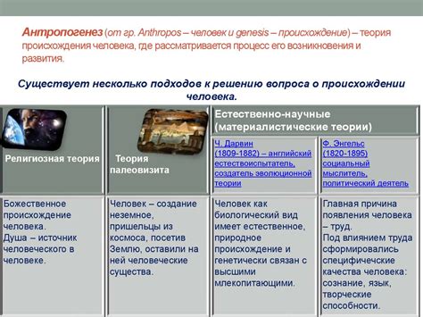 Природное и общественное в человеке. Человек, как результат ...