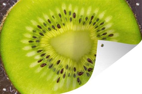 Tuinposter Kiwi Fruit Zaadjes 130x80 Cm Wanddecoratie Buiten