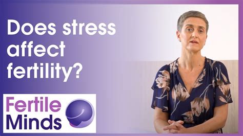 Does Stress Affect Fertility Fertile Minds Youtube