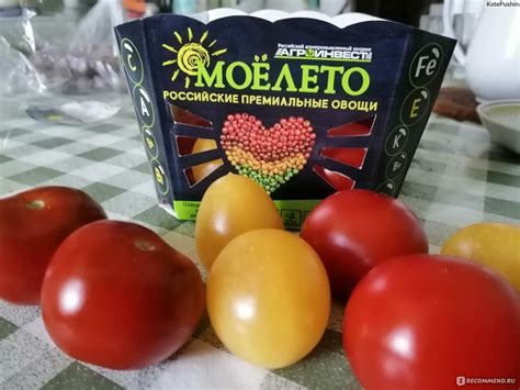 Овощи Мое Лето Томаты коктейльные Ботанический сорт: Аморозо ...