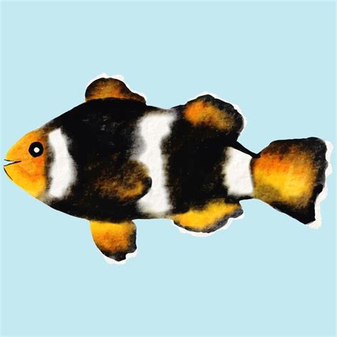 Premium Vector | Colorful clown fish watercolor painting artistic marine illustration