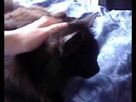 Me Stroking My Pussy YouTube