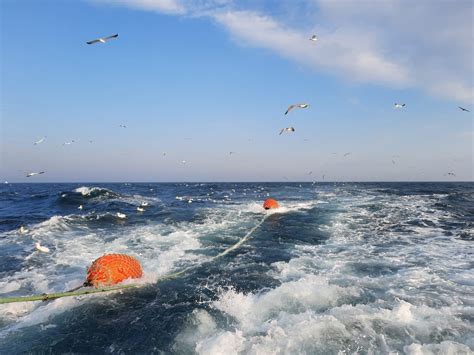 blog data collection  fisheries  observer trip