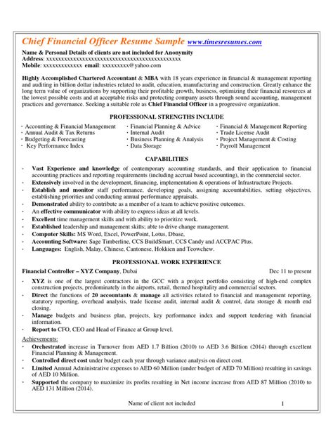 Chief Financial Officer Resume Sample Pdf Accounting Audit