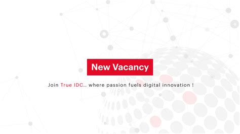 New Vacancy 2024