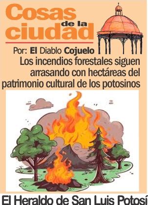 Cosas De La Ciudad Los Incendios Forestales Siguen Arrasando Con