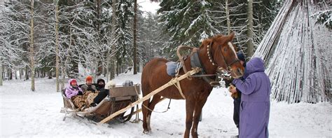 Sleigh Ride In The Wintery Nature At Pärnu County