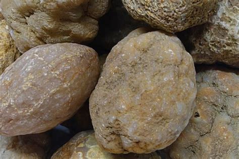 How To Easily Identify A Geode Every Time With Photos