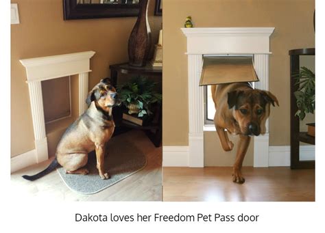 Wall Mounted Dog Doors Freedom Pet Pass Canada