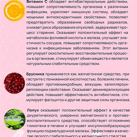 Бурдок С Арт Лайф. Купить: цена 1625 руб. Отзывы, инструкция по ...