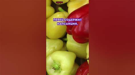 Перец содержит капсаицин, способствующий улучшению общего здоровья # ...