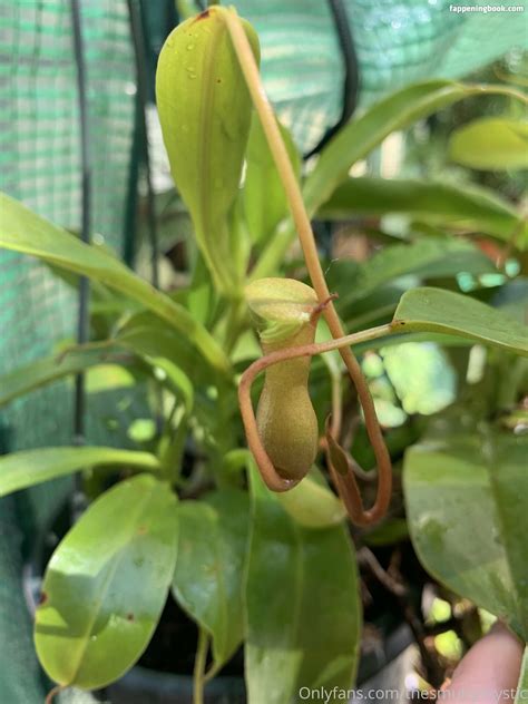 Thesmuttymystic Nude OnlyFans Leaks The Fappening Photo 4069152 FappeningBook