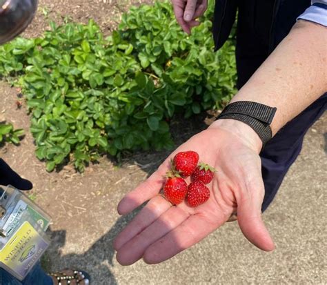 Winfield School Union County Plant A Seed Blog