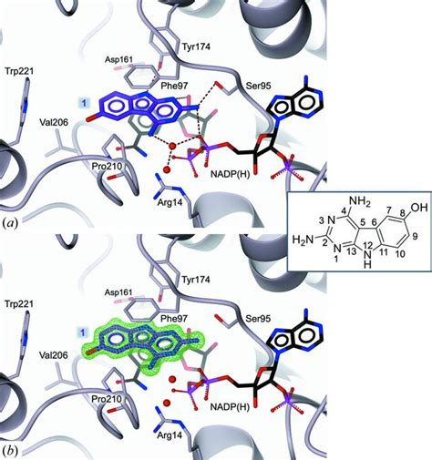 IUCr High Resolution Crystal Structure Of Trypanosoma Brucei