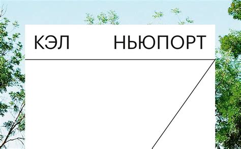 prs516: Книга: Цифровой минимализм (Ньюпорт)