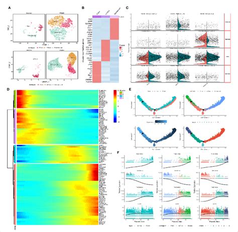 A Tsne And Umap Plot Of The Stromal Cells Color Coded For Three