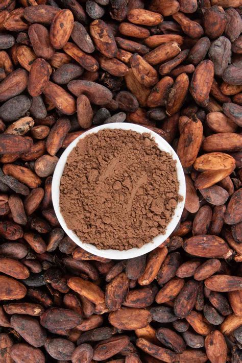 Cacao Vs Cocoa The Real Differences Between Cocoa And Cacao Revealed