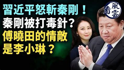 习近平怒斩秦刚！秦刚被打毒针？傅晓田曾是总理情妇！视频 中共 李小琳 动向 看中国网