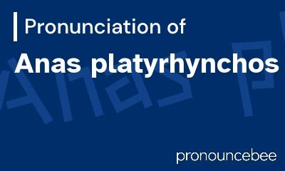 how to pronounce anas