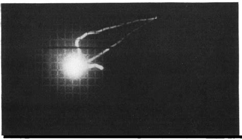 Figure From The Effect Of Halothane On The Isolated Cat Heart