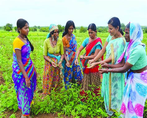 Climate Informed Farming Can Be A Boon For Women Farmers