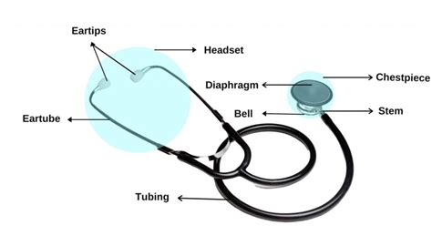 The Stethoscope Hubpages
