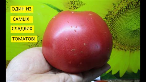 Очень Сладкий Томат Розовый Мед! Он Поразил Меня Своим Вкусом ...