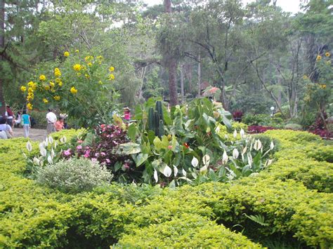Baguio Botanical Garden Baguio City Philippines Baguio City Scenic