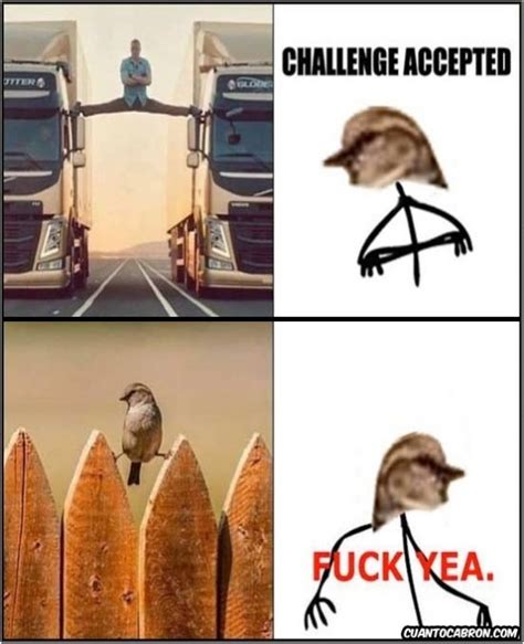 Fuck Meme Subido Por Flor6879 Memedroid