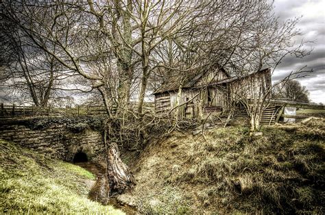 Overgrown Home Photograph By David Bracher Fine Art America