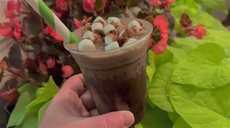 Frozen Salted Caramel Hot Cocoa Is A Winter Delight Chip And Company