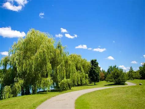 Delaware Park Comprehensive Development Plan Hhl Architects