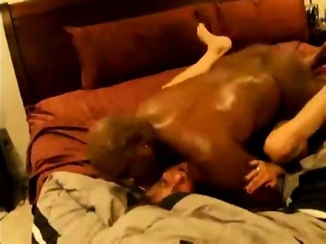 A Real Black Bull Insemination For That Milf