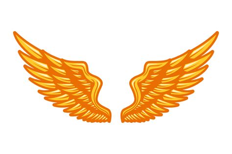 Gold Wings Vector Illustration 20542691 Vector Art At Vecteezy