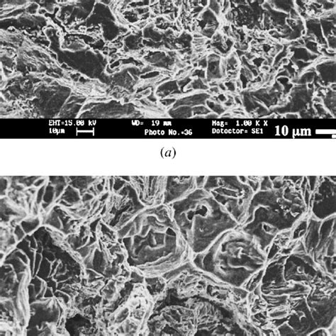 Typical Sem Fractographs Showing The Tensile Fracture Surfaces Of A